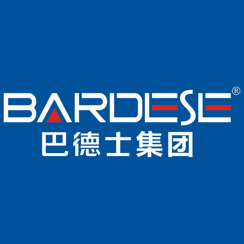 巴德士集团